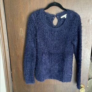 LC Lauren Conrad Blue Crew Neck Sweater with Plush Texture
